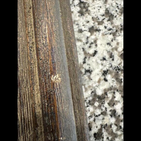 Original Susan Meyer Sinyai Oil on Panel 26" x 21" framed - Picture 15 of 16